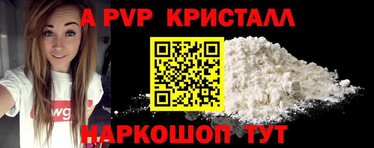 A-PVP СК Горно-Алтайск
