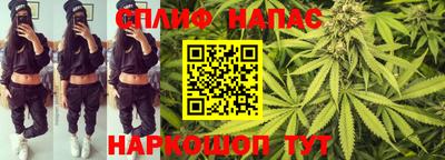 мдпв Кимры